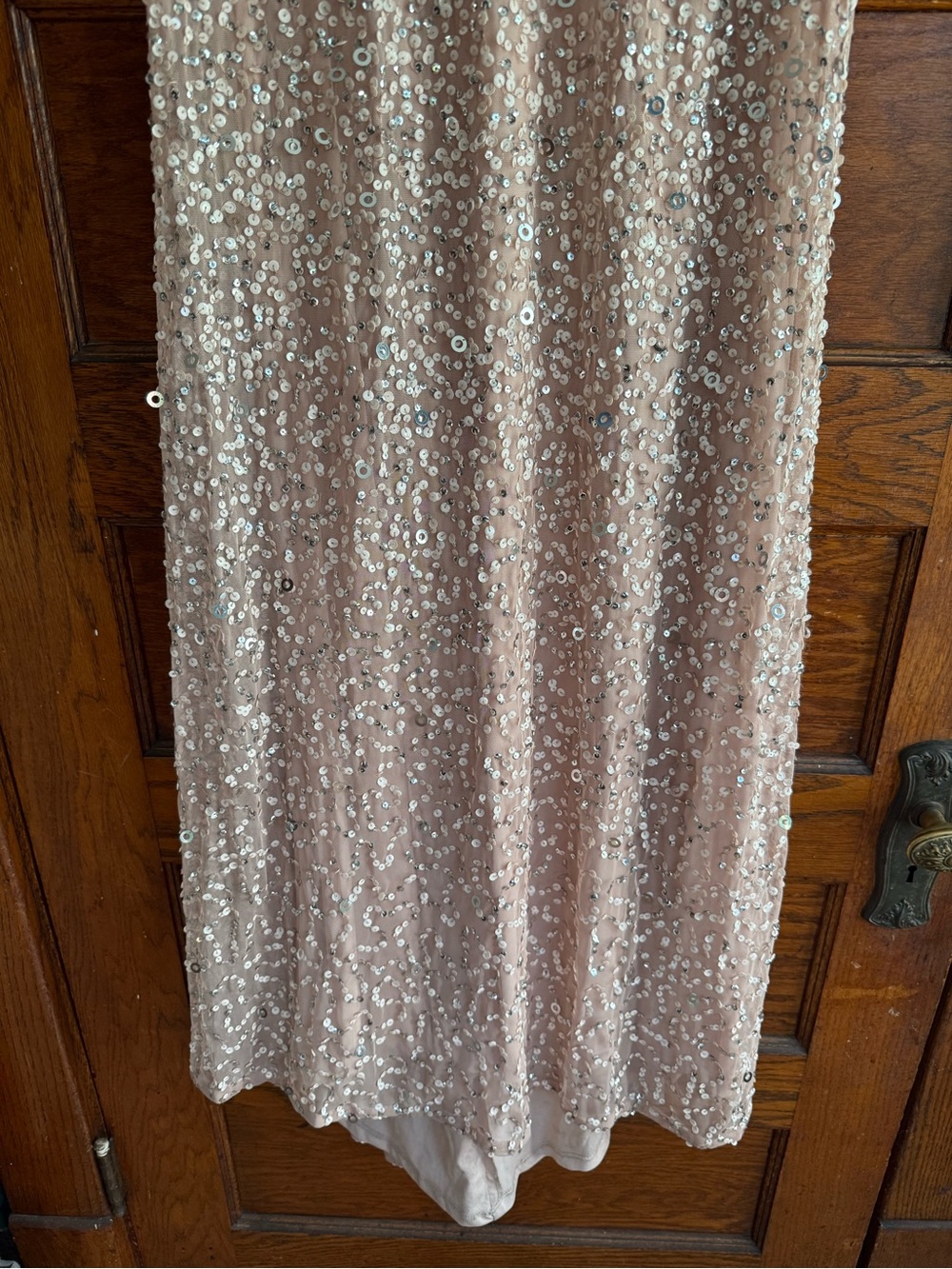 ADRIANNA PAPELL Scoop Back Sequin Maxi Gown Short Sleeve Full Length Blush Nude - Picture 3 of 9